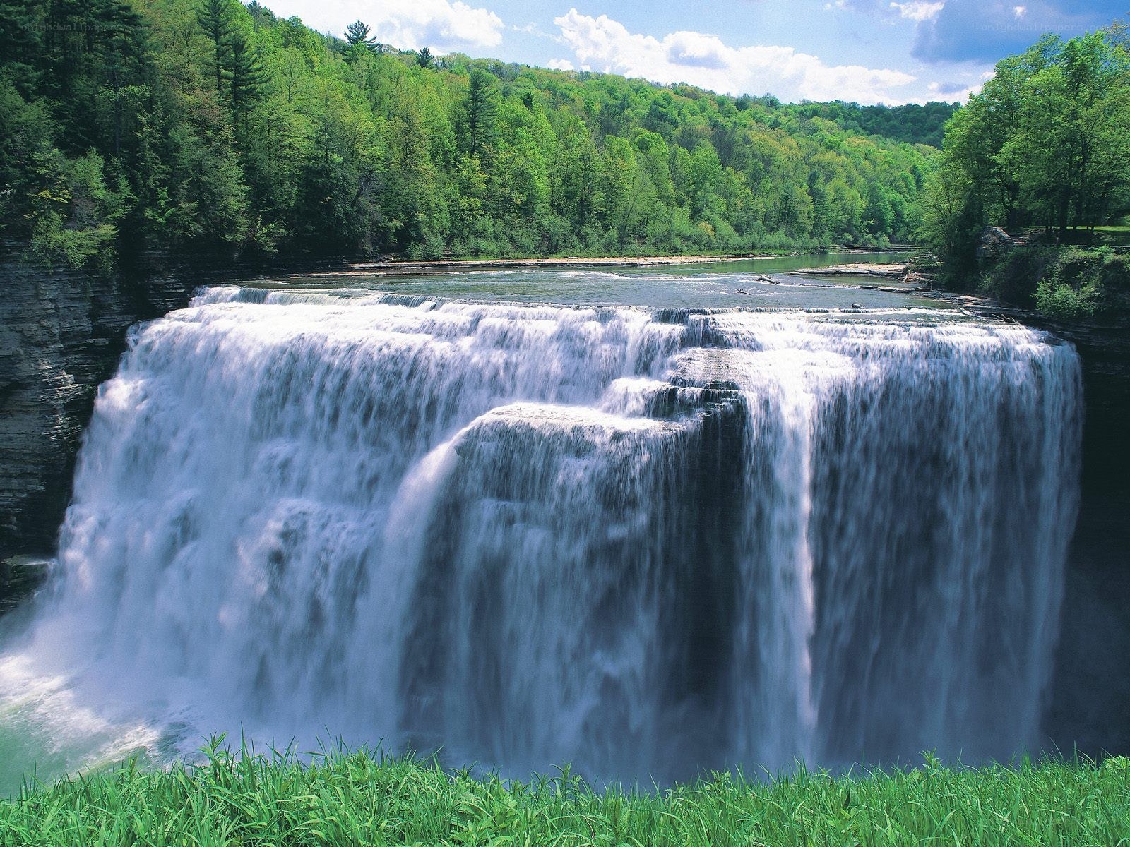 Waterfall in a lush forest