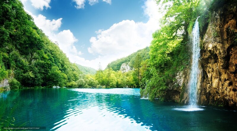 Waterfall in a lush forest