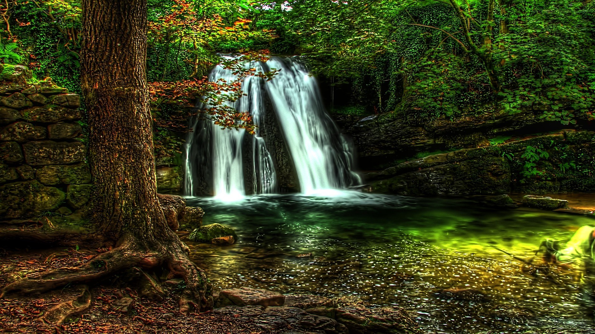 Waterfall in a lush forest