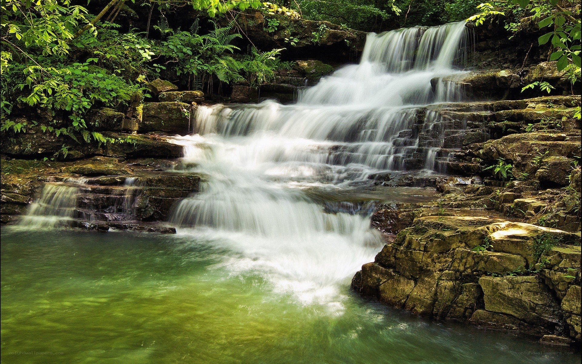 Waterfall in a lush forest