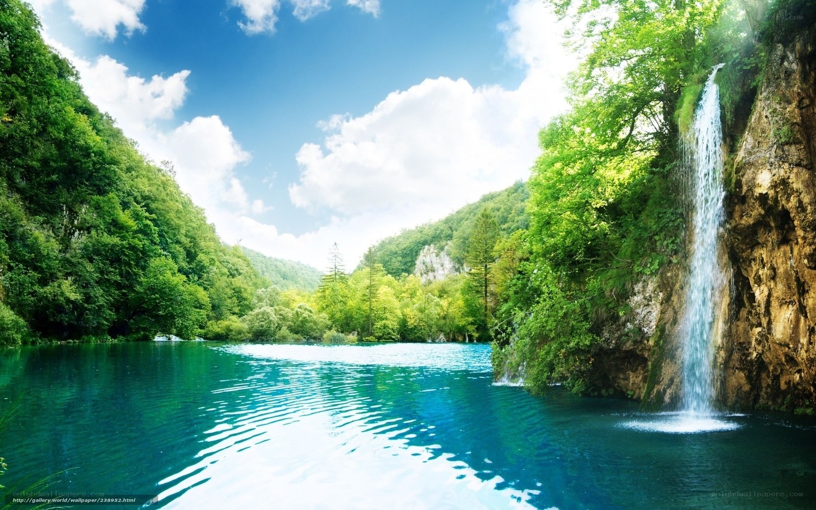 Waterfall in a lush forest