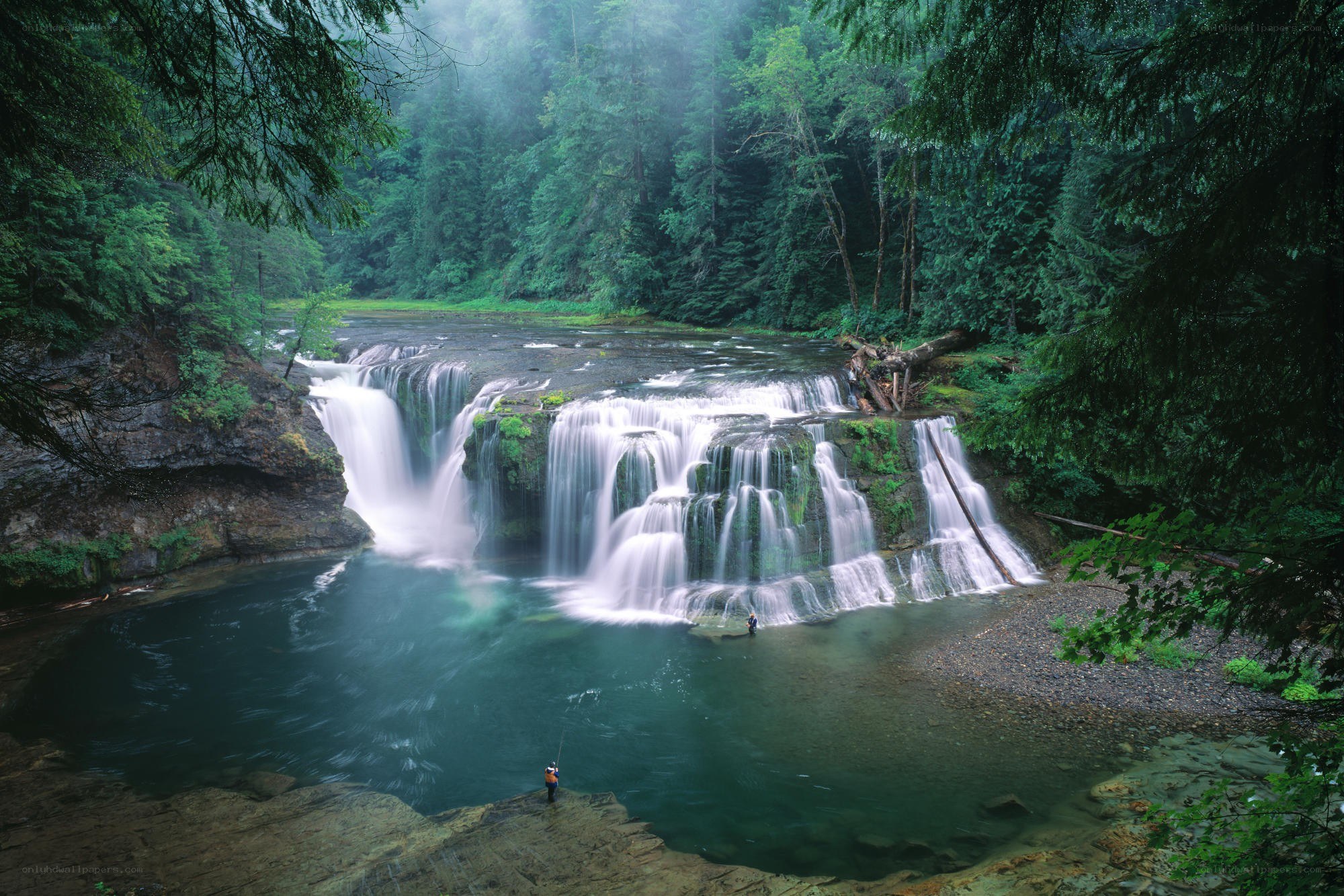 Waterfall in a lush forest