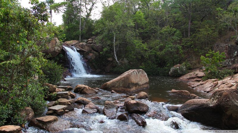 Waterfall in a lush forest