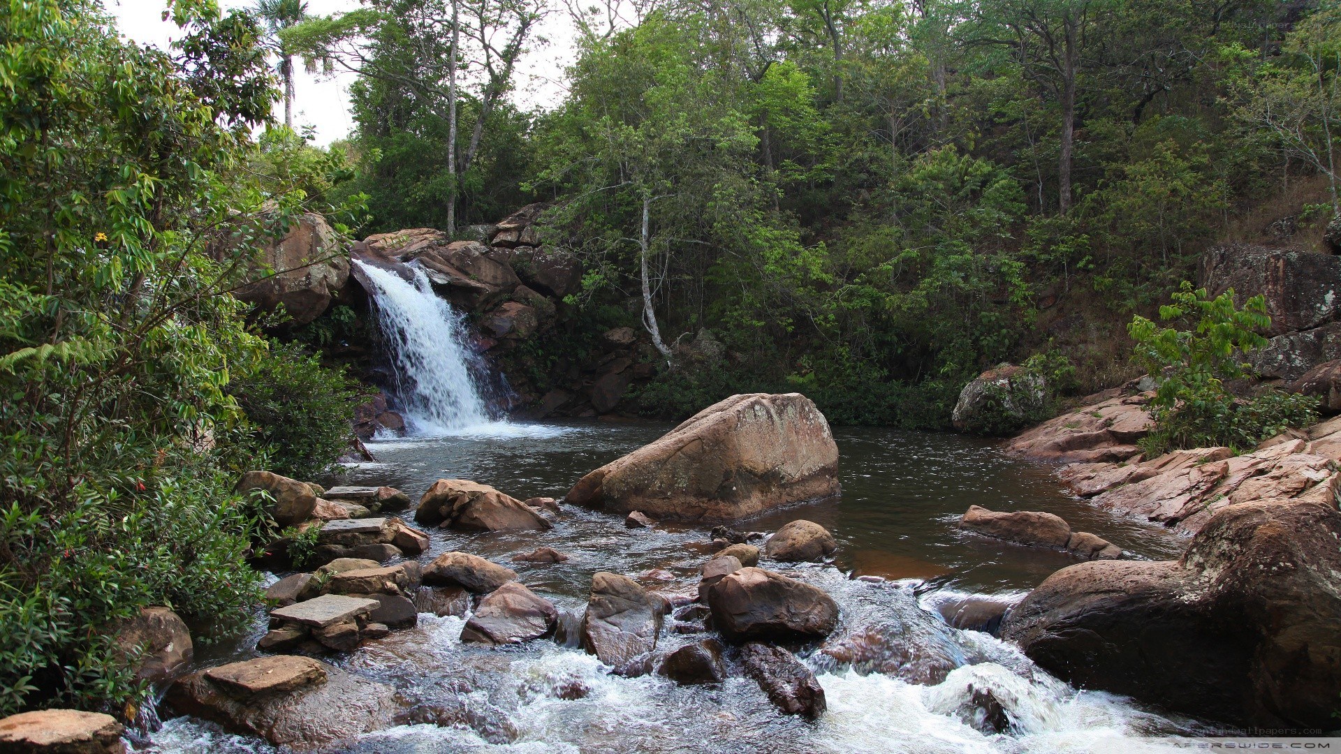 Waterfall in a lush forest