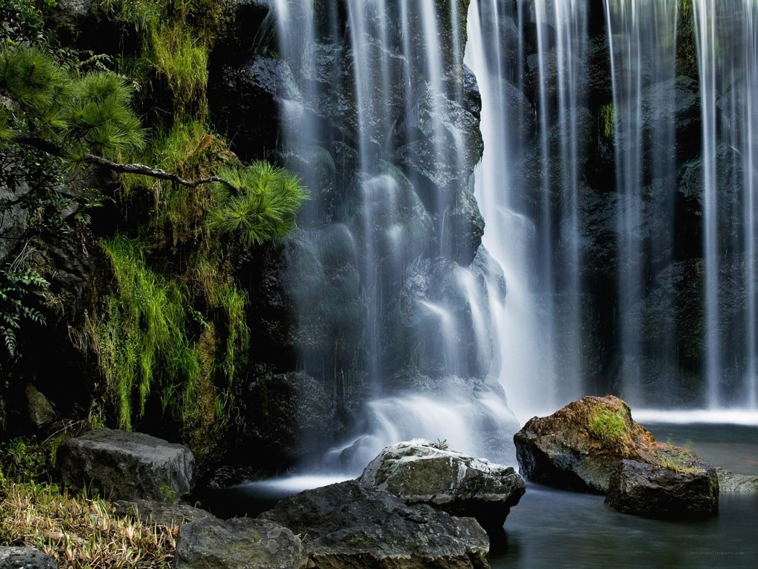 Waterfall in a lush forest