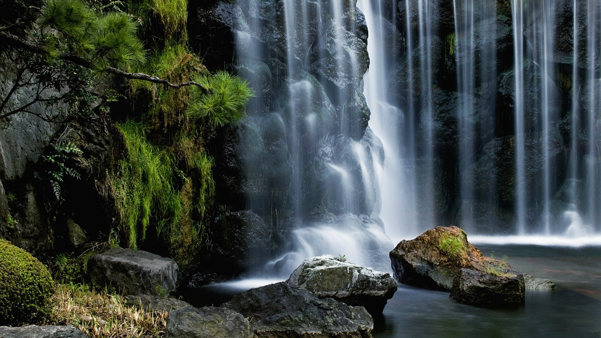 Waterfall in a lush forest