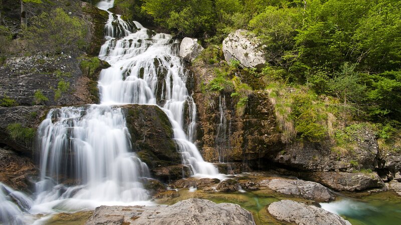 Waterfall in a lush forest
