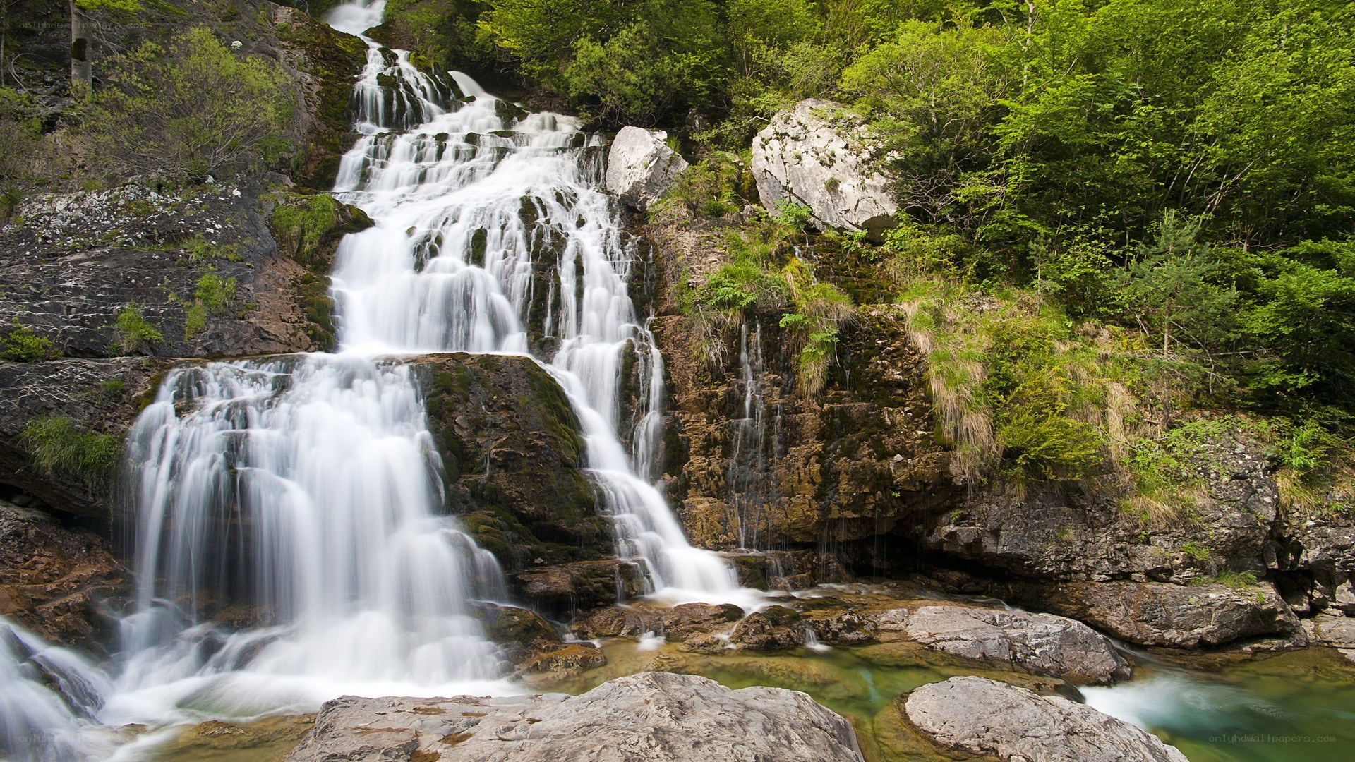 Waterfall in a lush forest