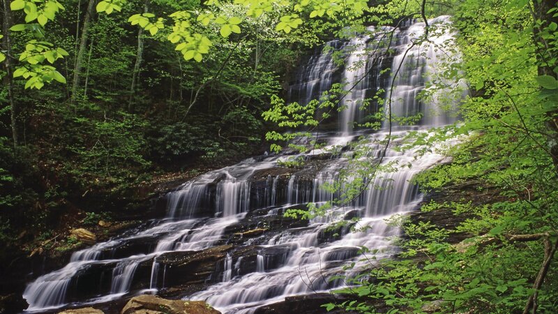 Waterfall in a lush forest