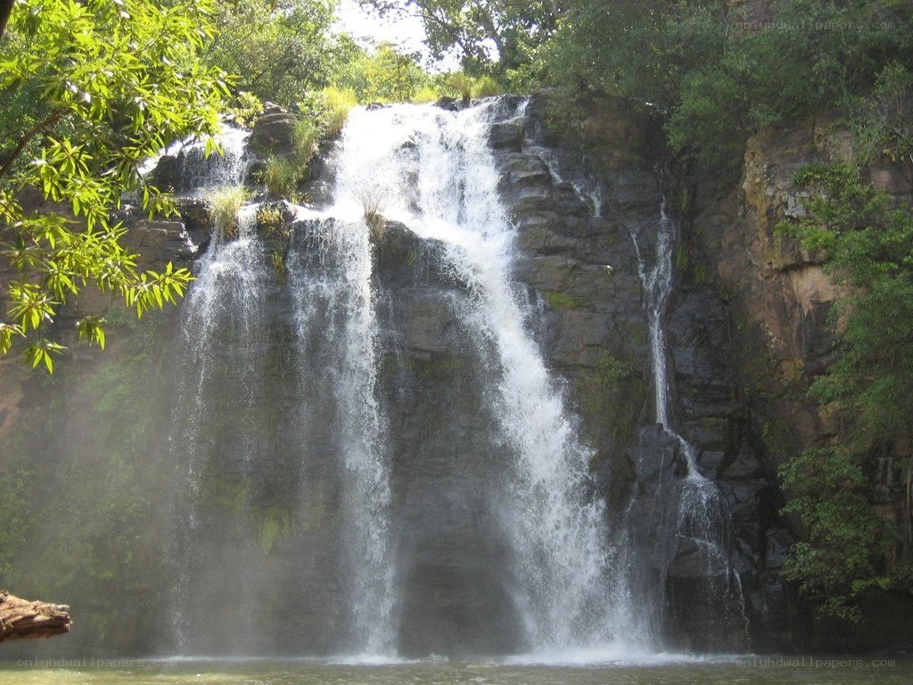 Waterfall in a lush forest