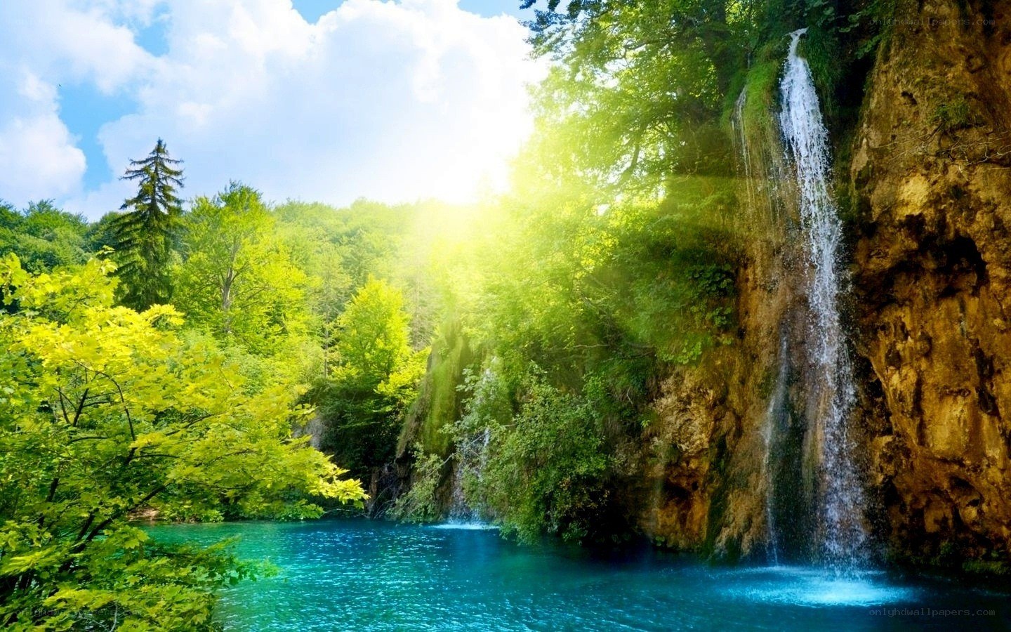 Waterfall in a lush forest