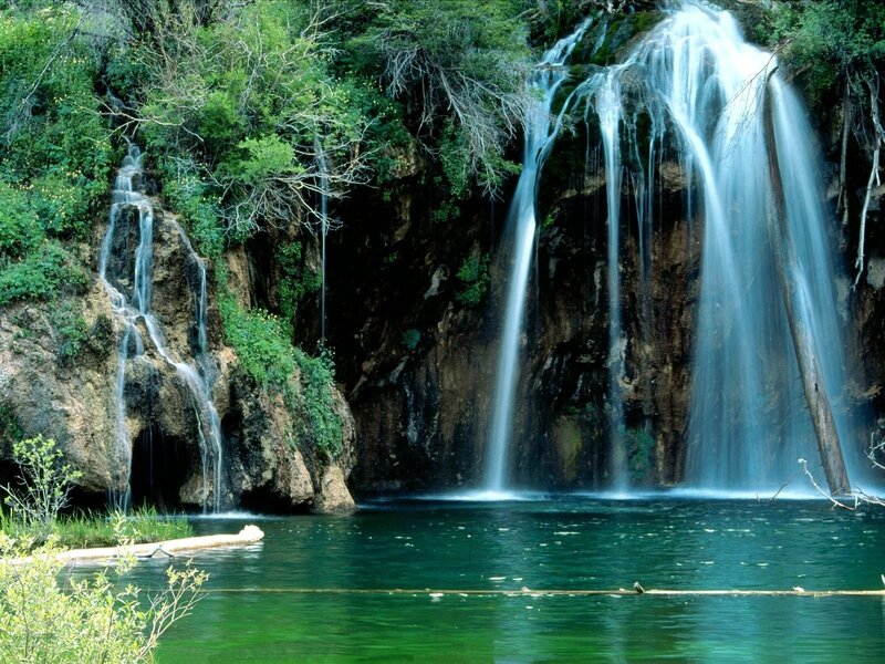 Waterfall in a lush forest