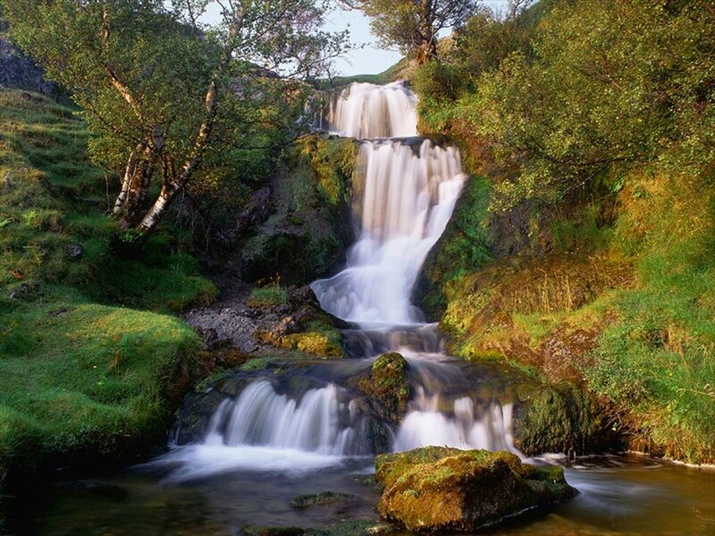 Waterfall in a lush forest