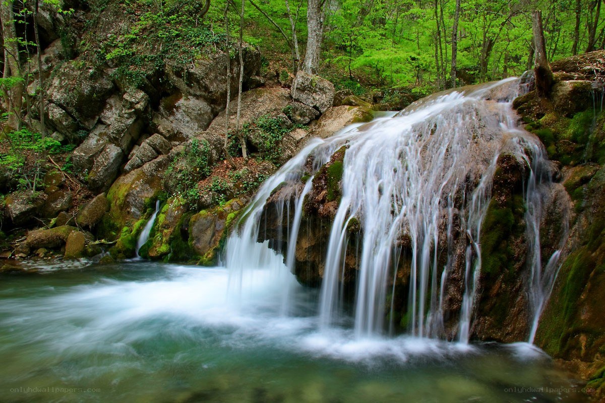 Waterfall in a lush forest