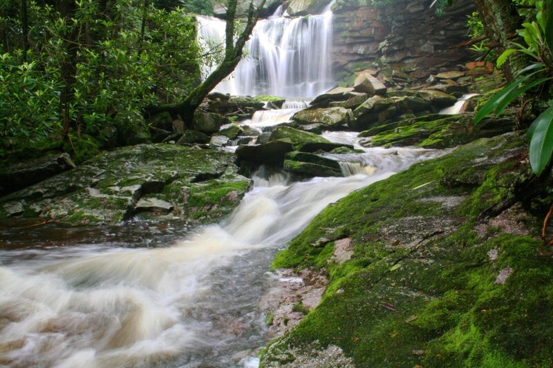 Waterfall in a lush forest