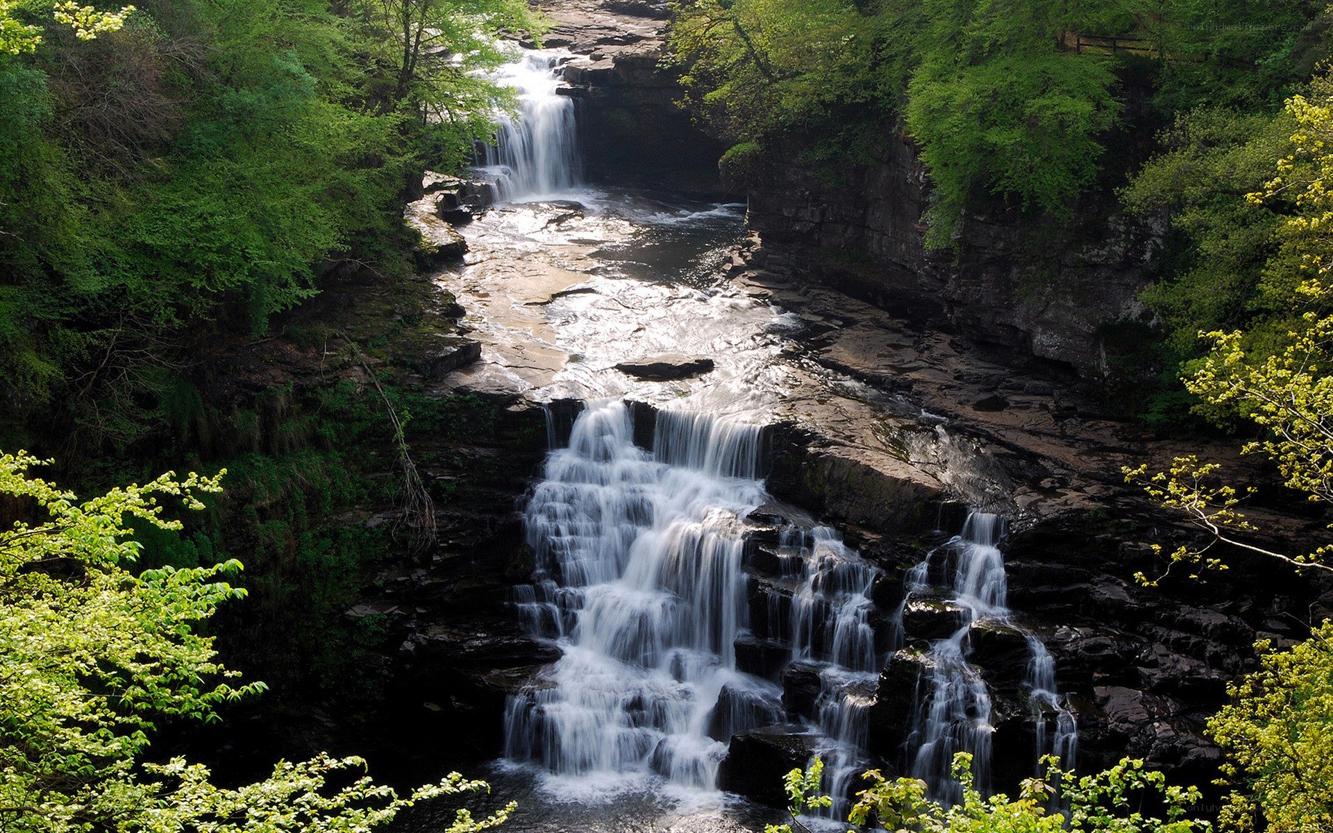 Waterfall in a lush forest