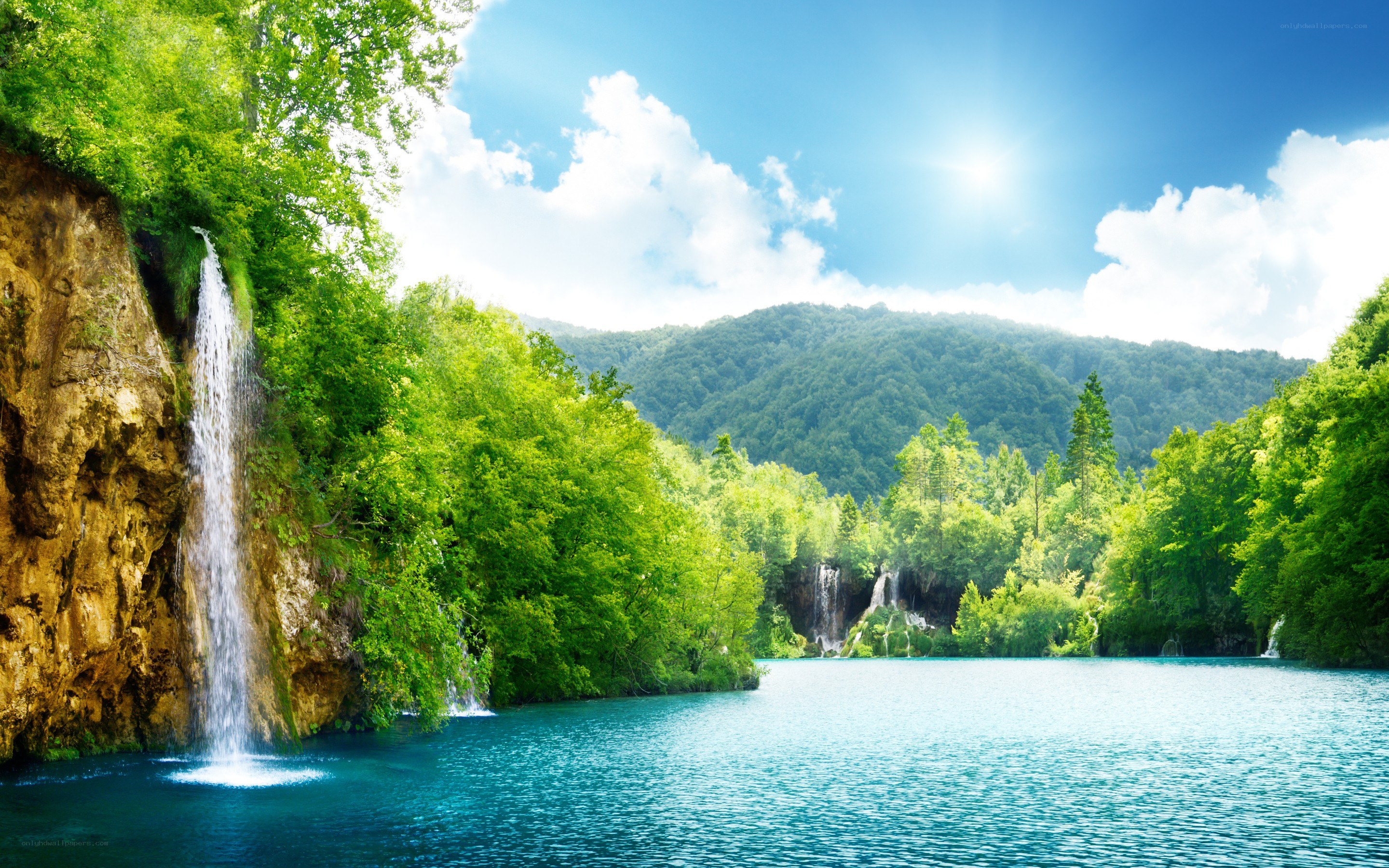 Waterfall in a lush forest