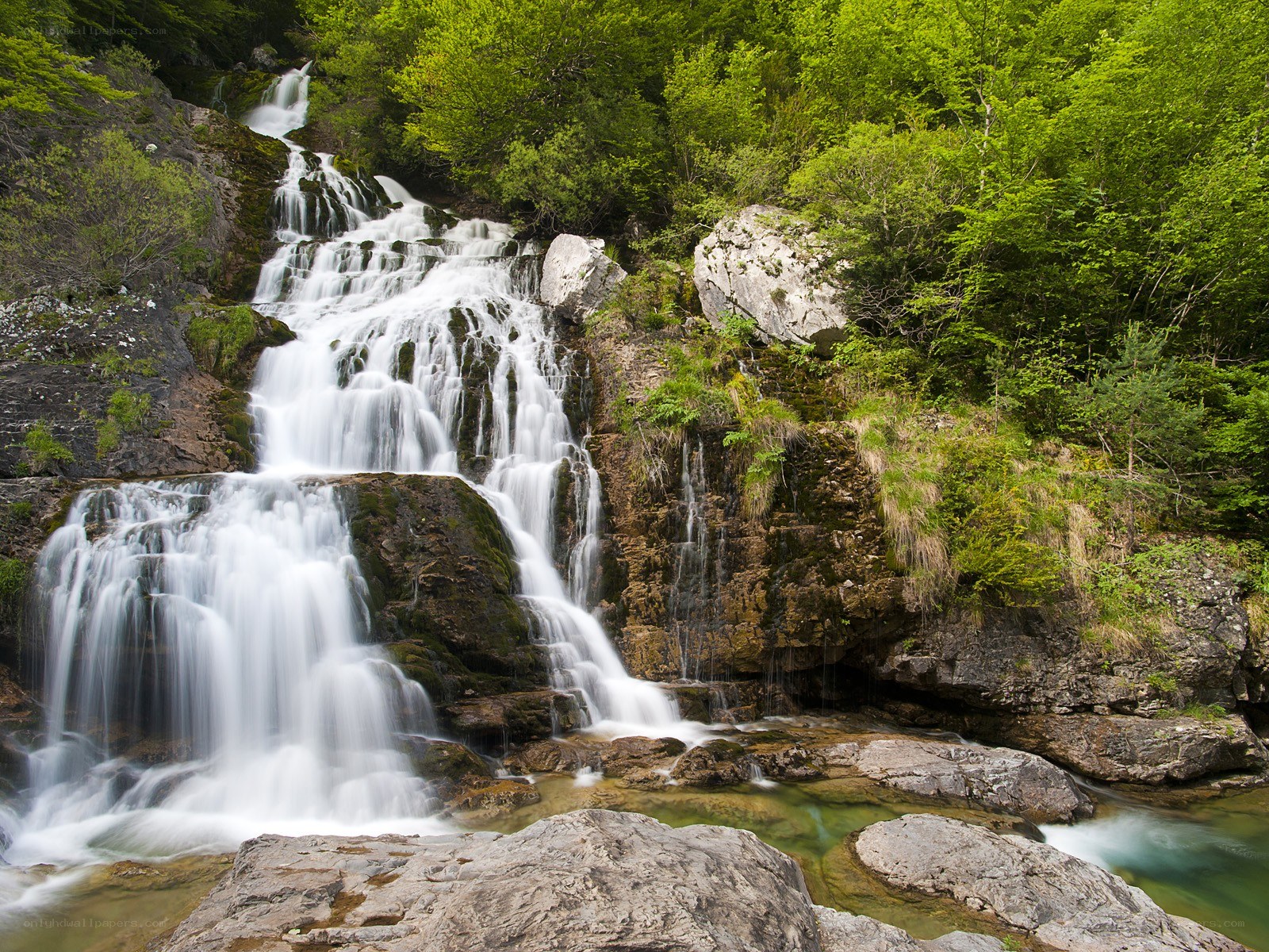 Waterfall in a lush forest