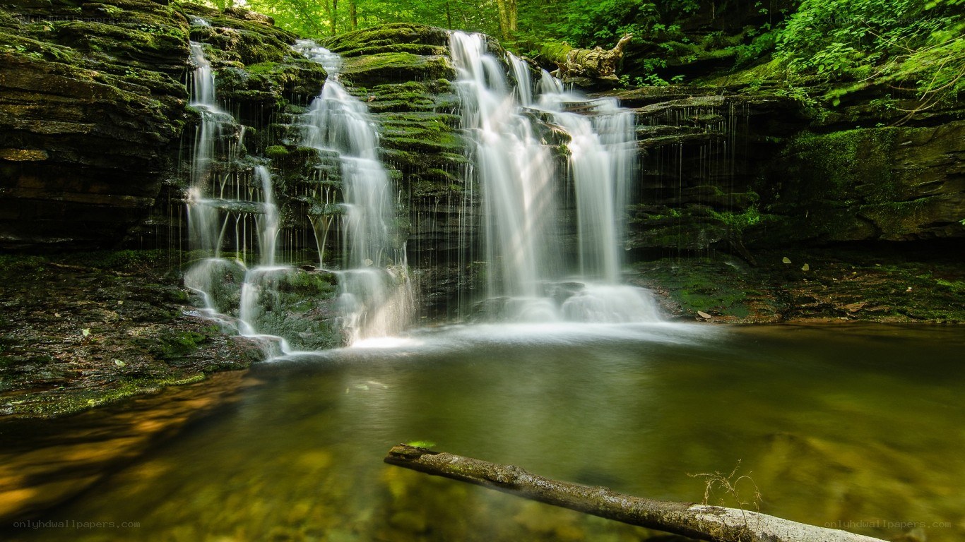 Waterfall in a lush forest