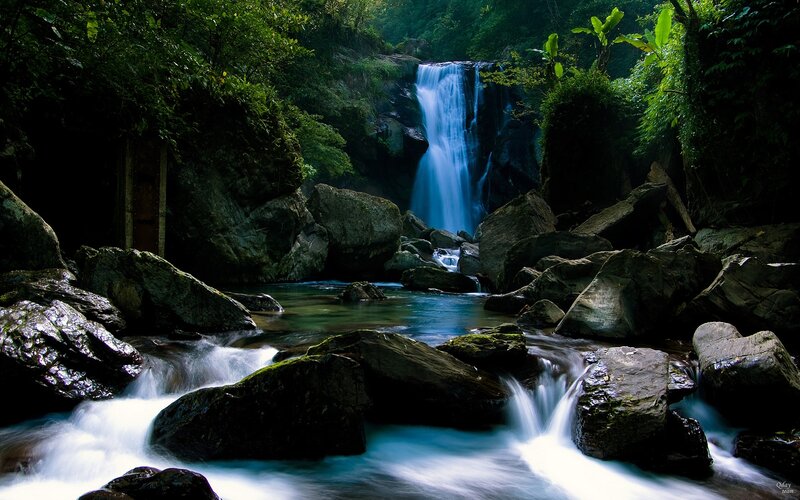 Waterfall in a lush forest