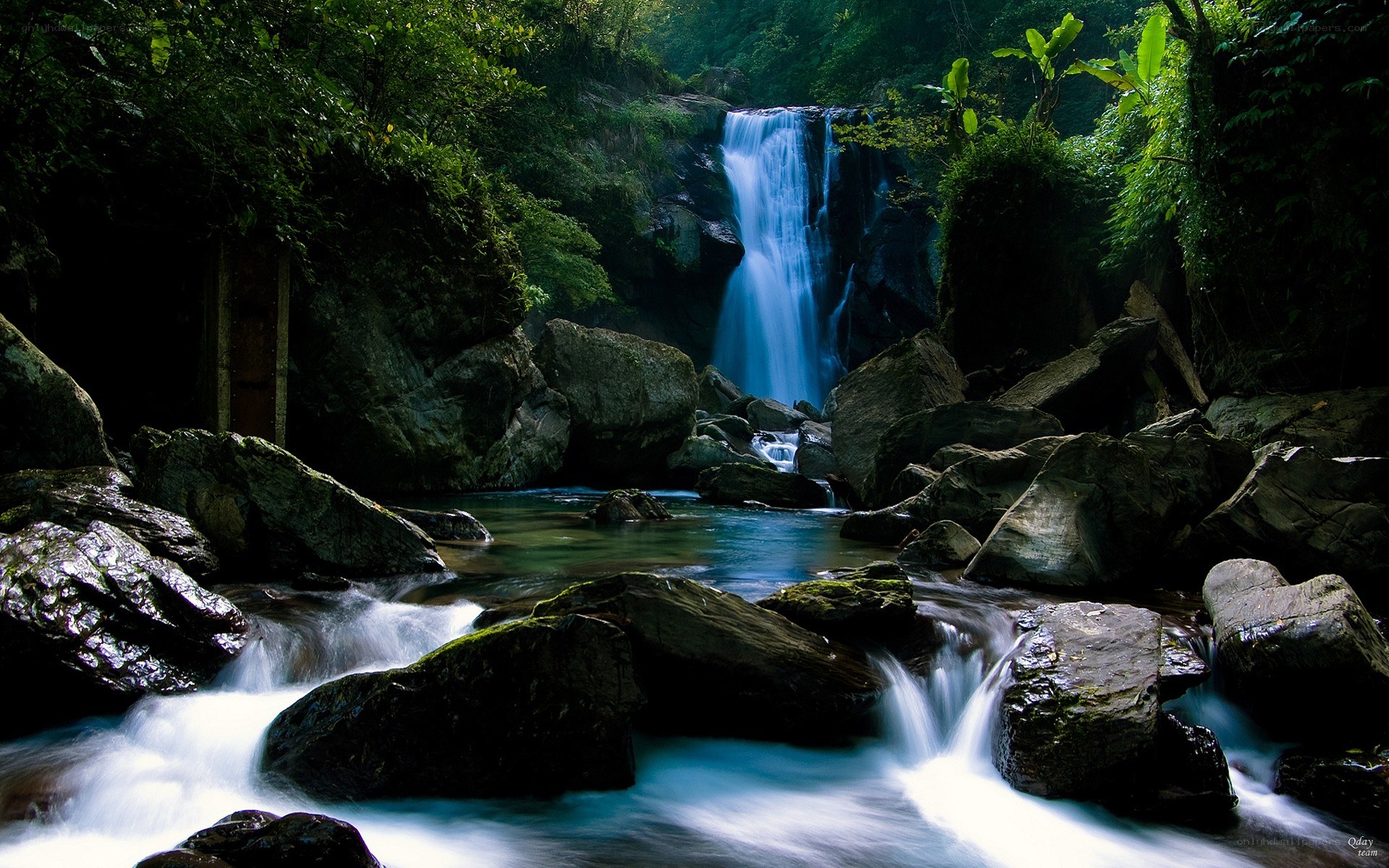 Waterfall in a lush forest