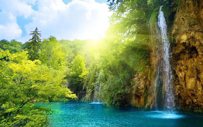 Waterfall in a lush forest