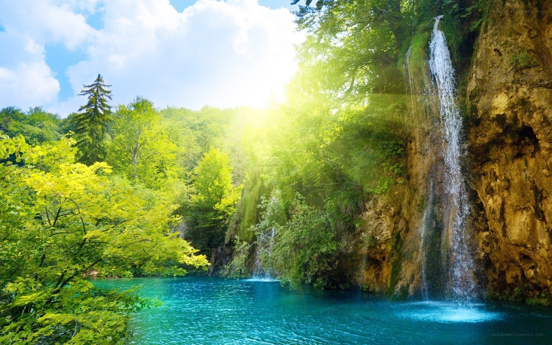 Waterfall in a lush forest