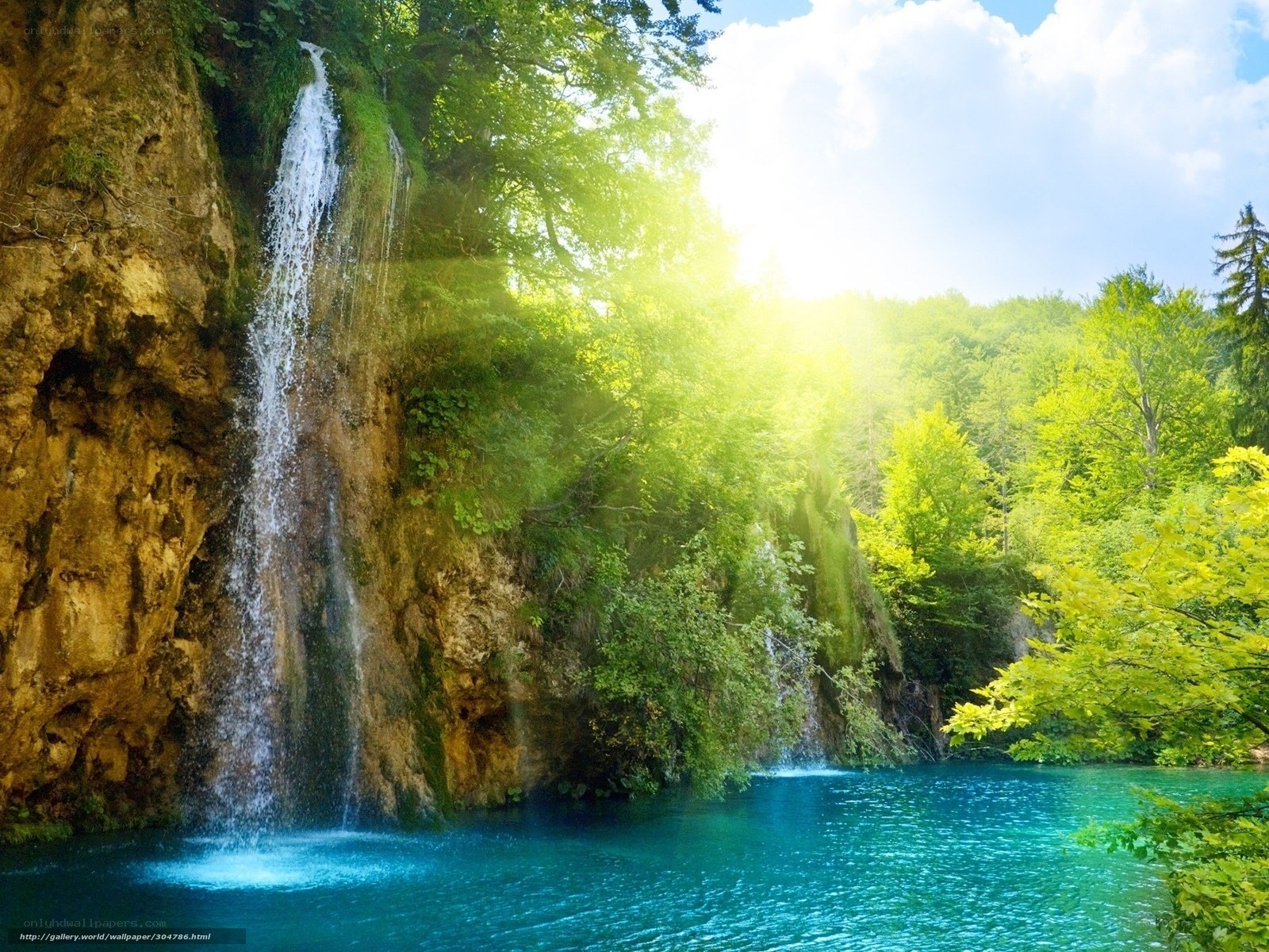 Waterfall in a lush forest
