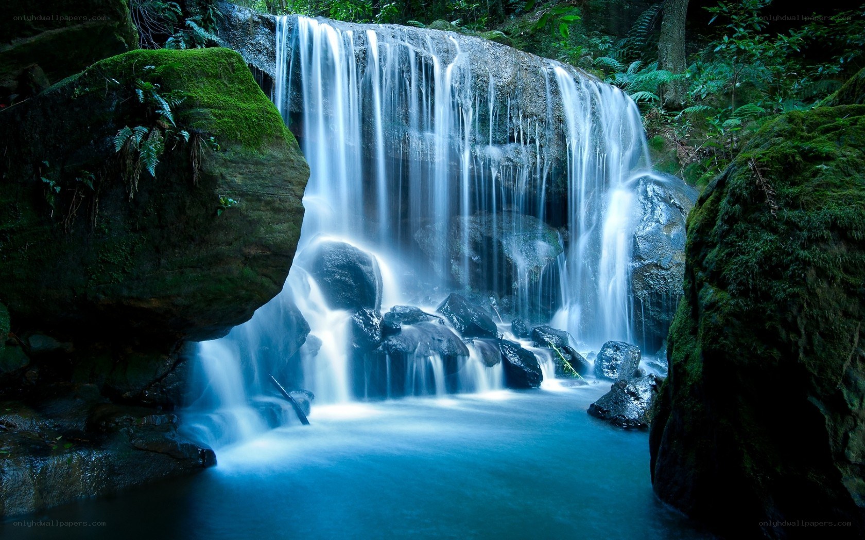 Waterfall in a lush forest