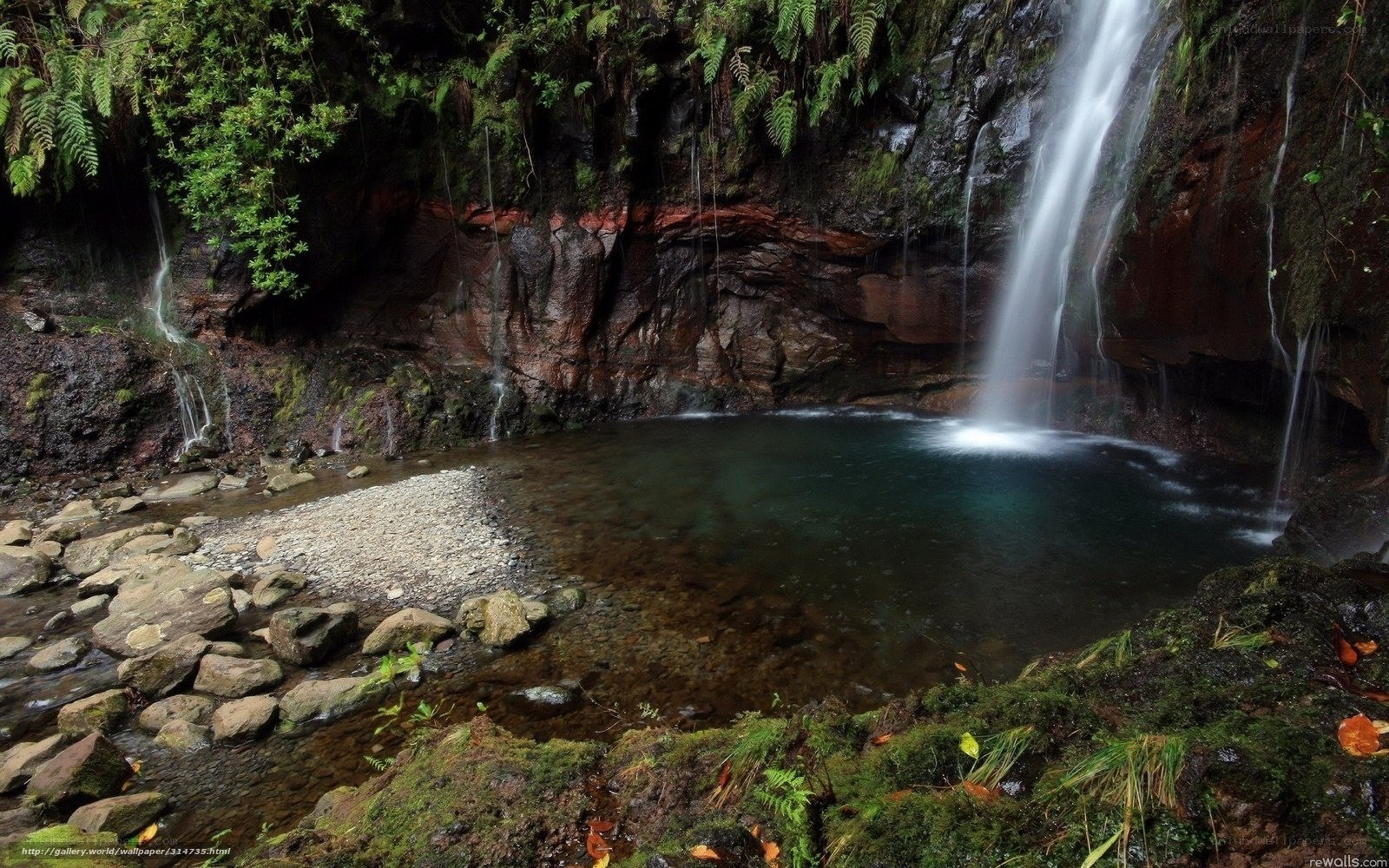 Waterfall in a lush forest