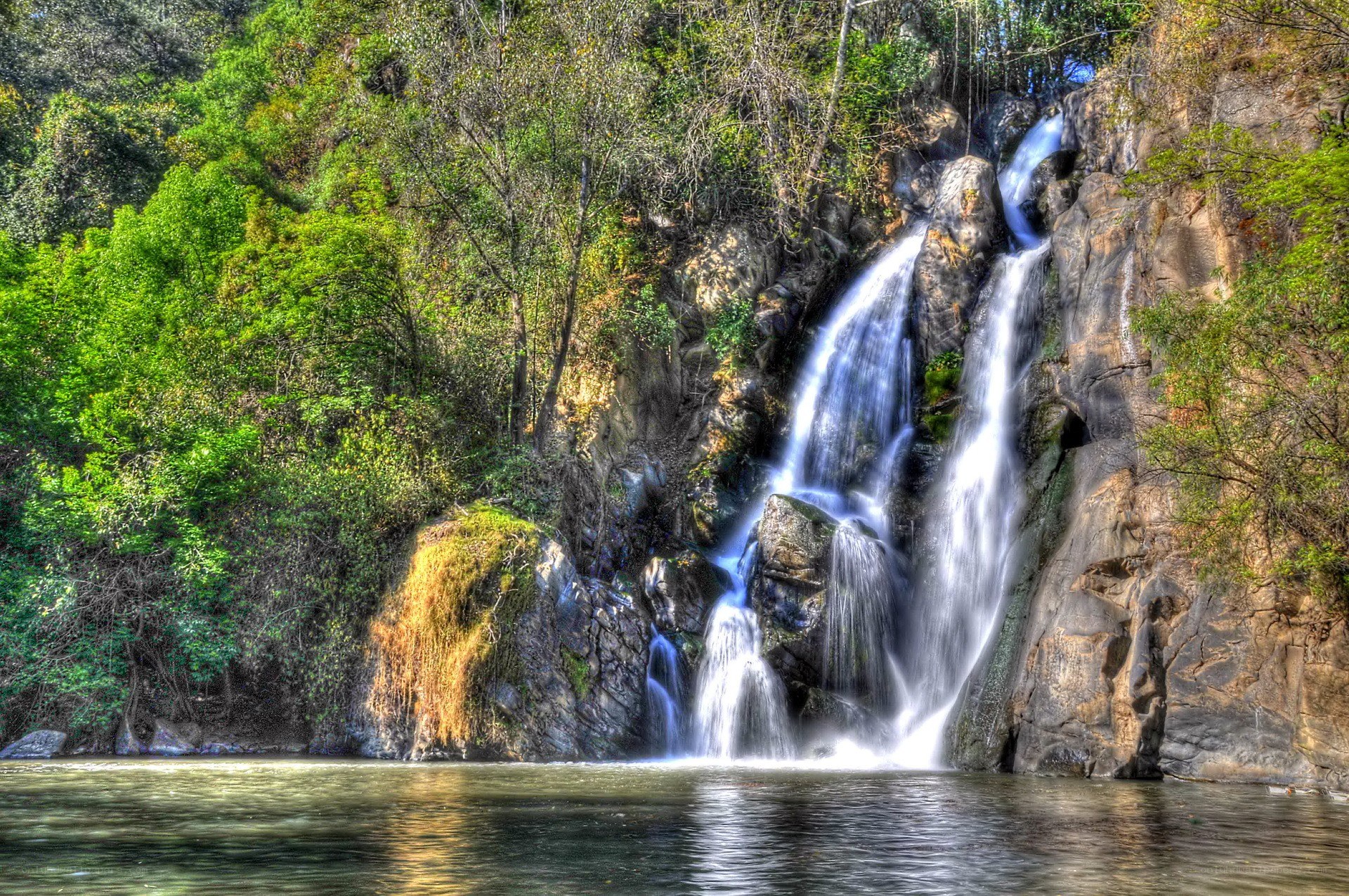 Waterfall in a lush forest