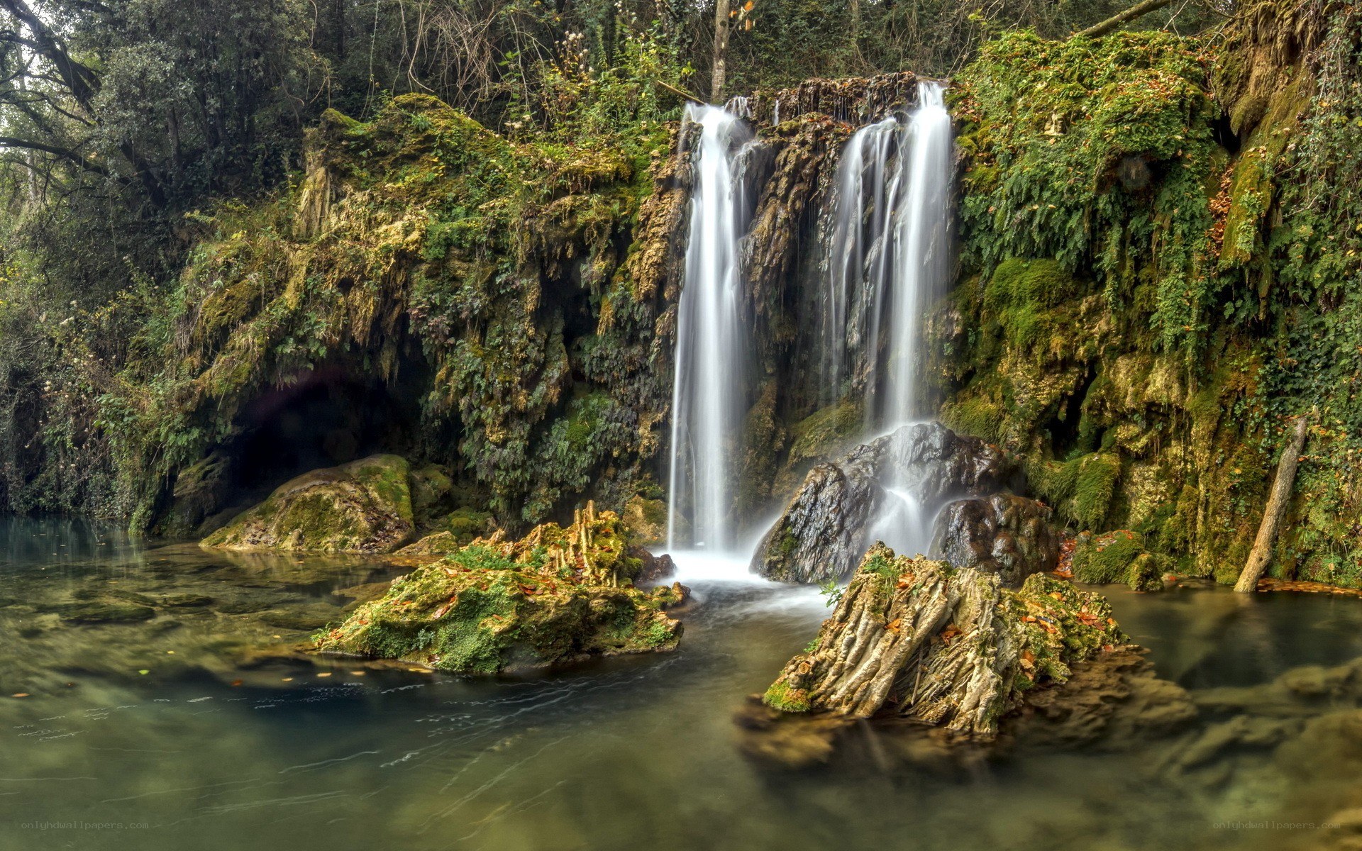 Waterfall in a lush forest