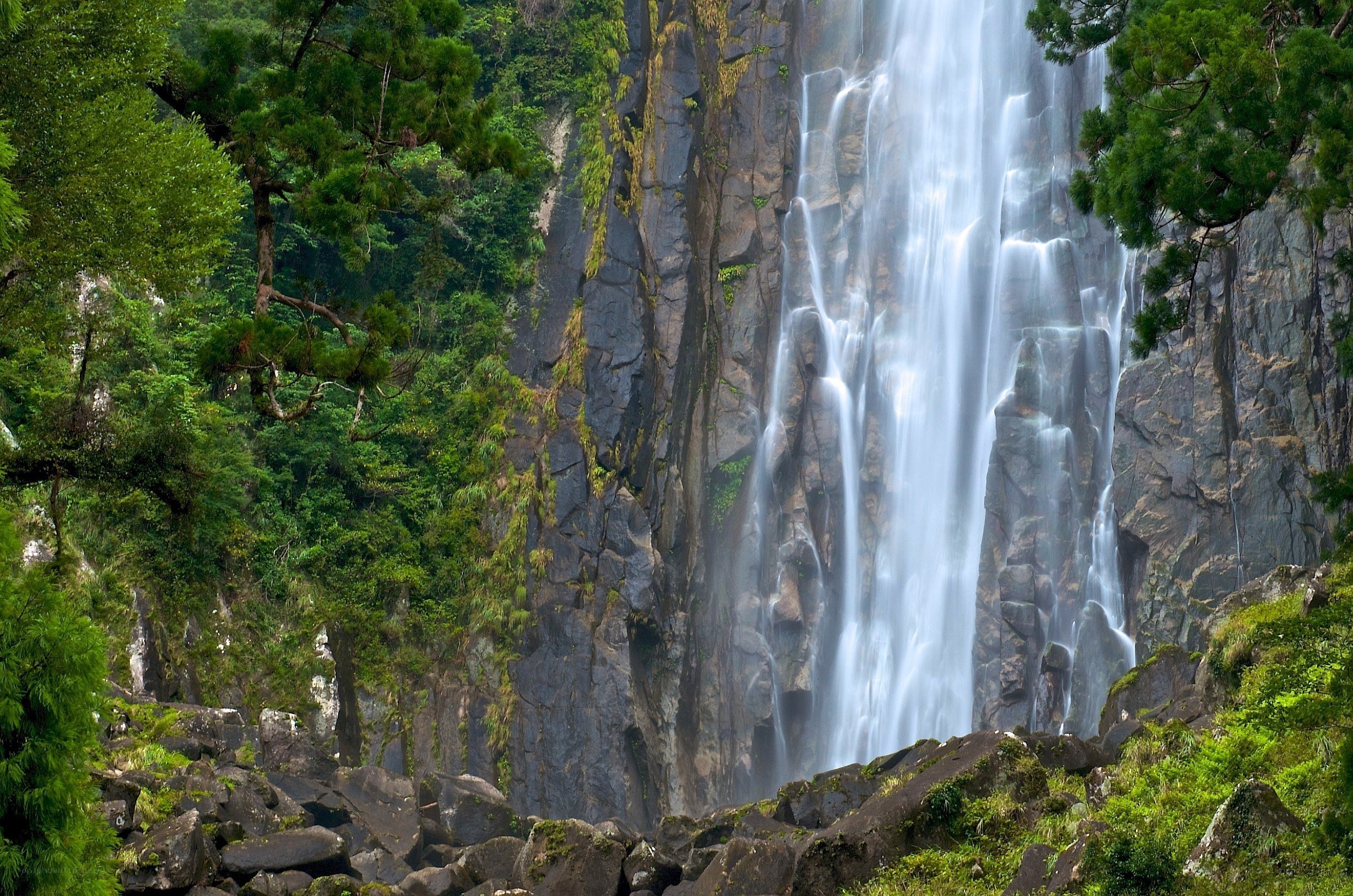 Waterfall in a lush forest