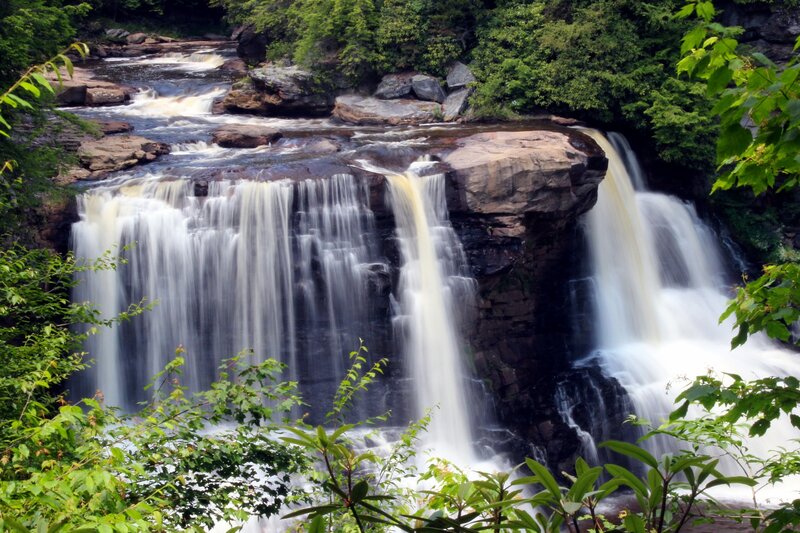 Waterfall in a lush forest
