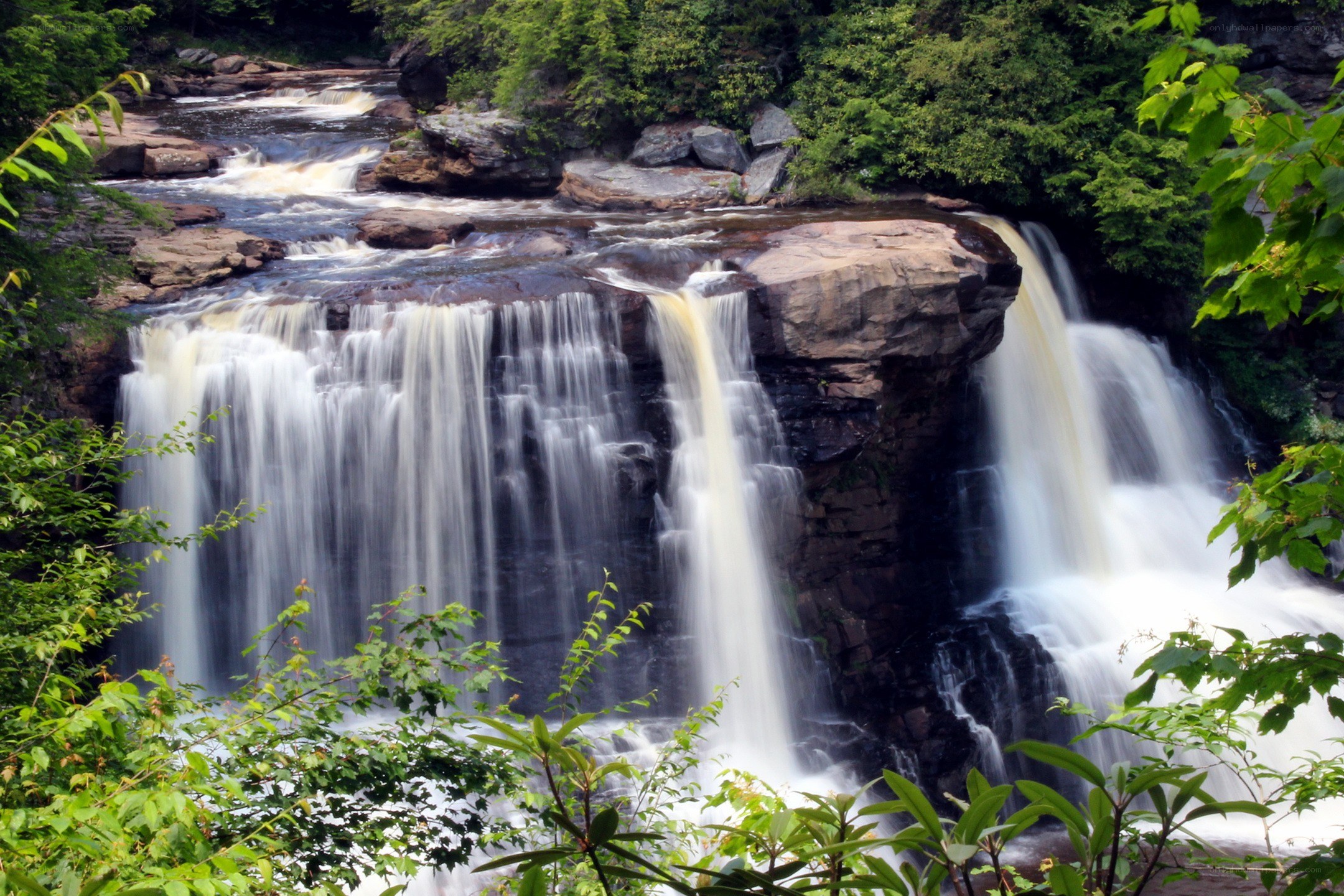 Waterfall in a lush forest