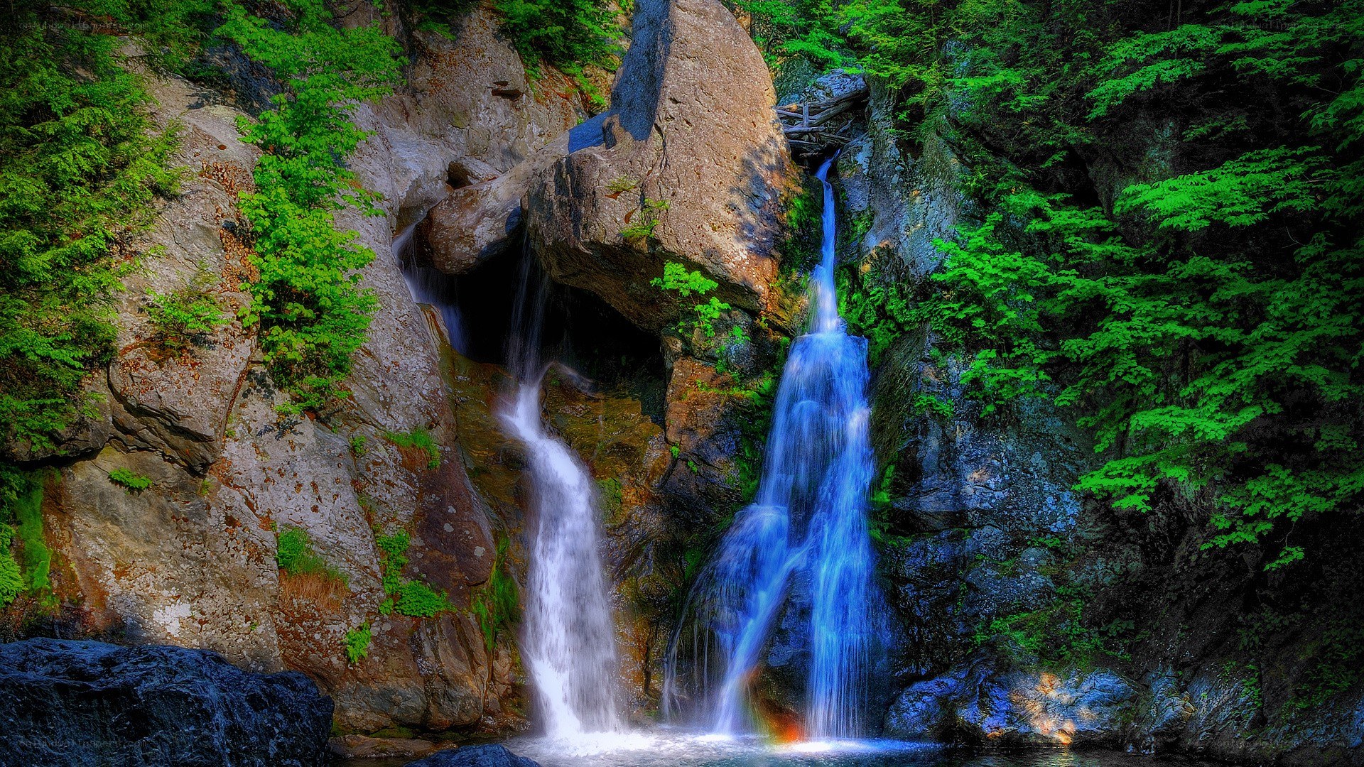 Waterfall in a lush forest