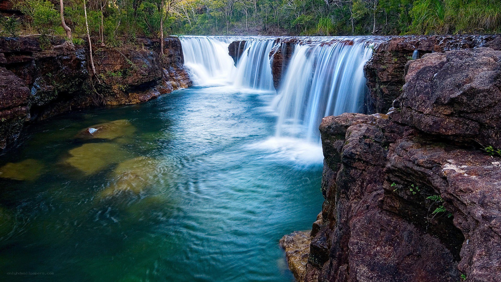 Waterfall in a lush forest