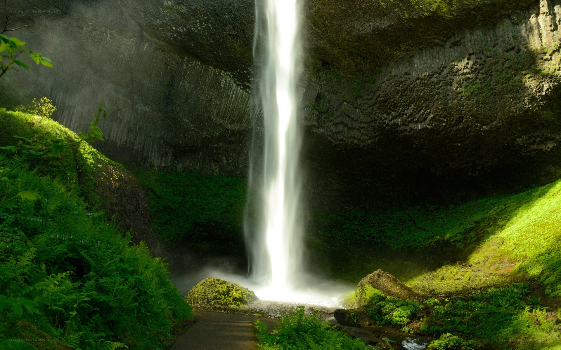Waterfall in a lush forest