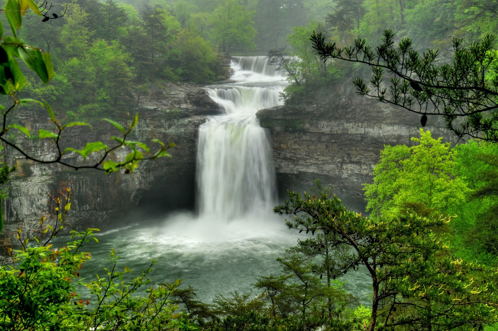 Waterfall in a lush forest