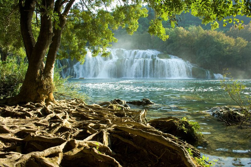Waterfall in a lush forest