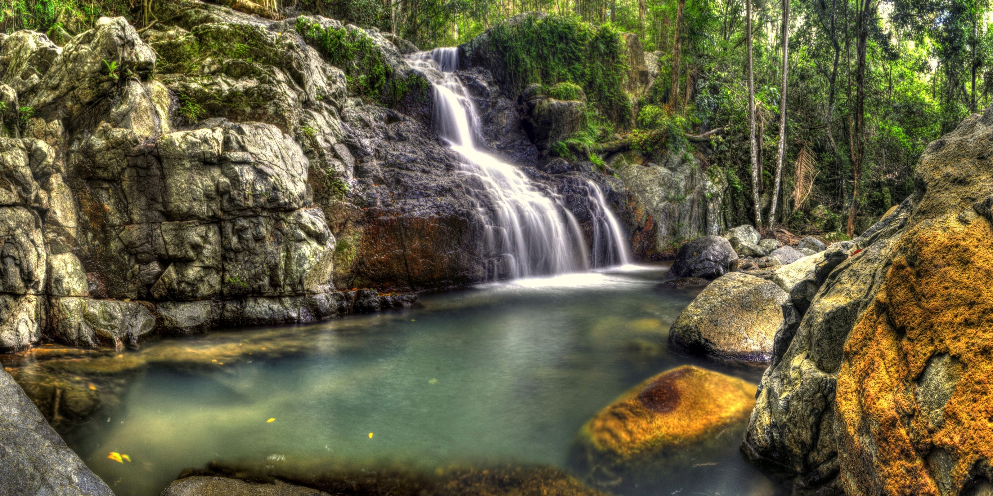 Waterfall in a lush forest