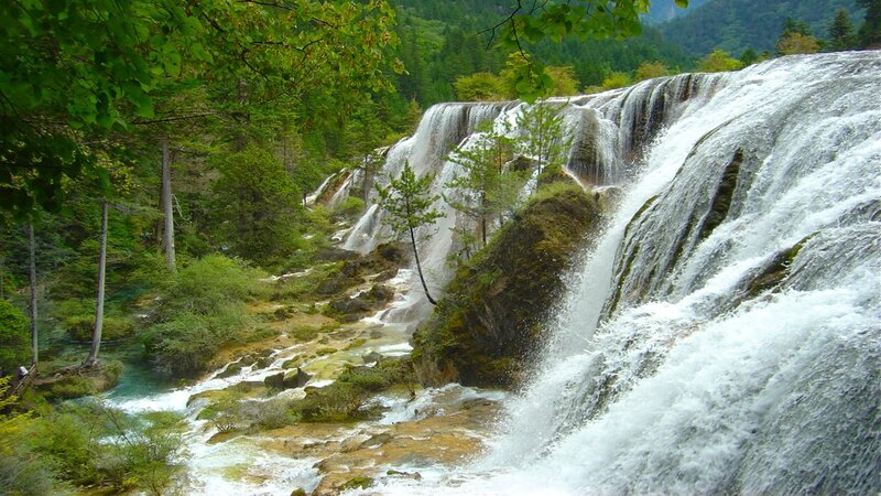 Waterfall in a lush forest