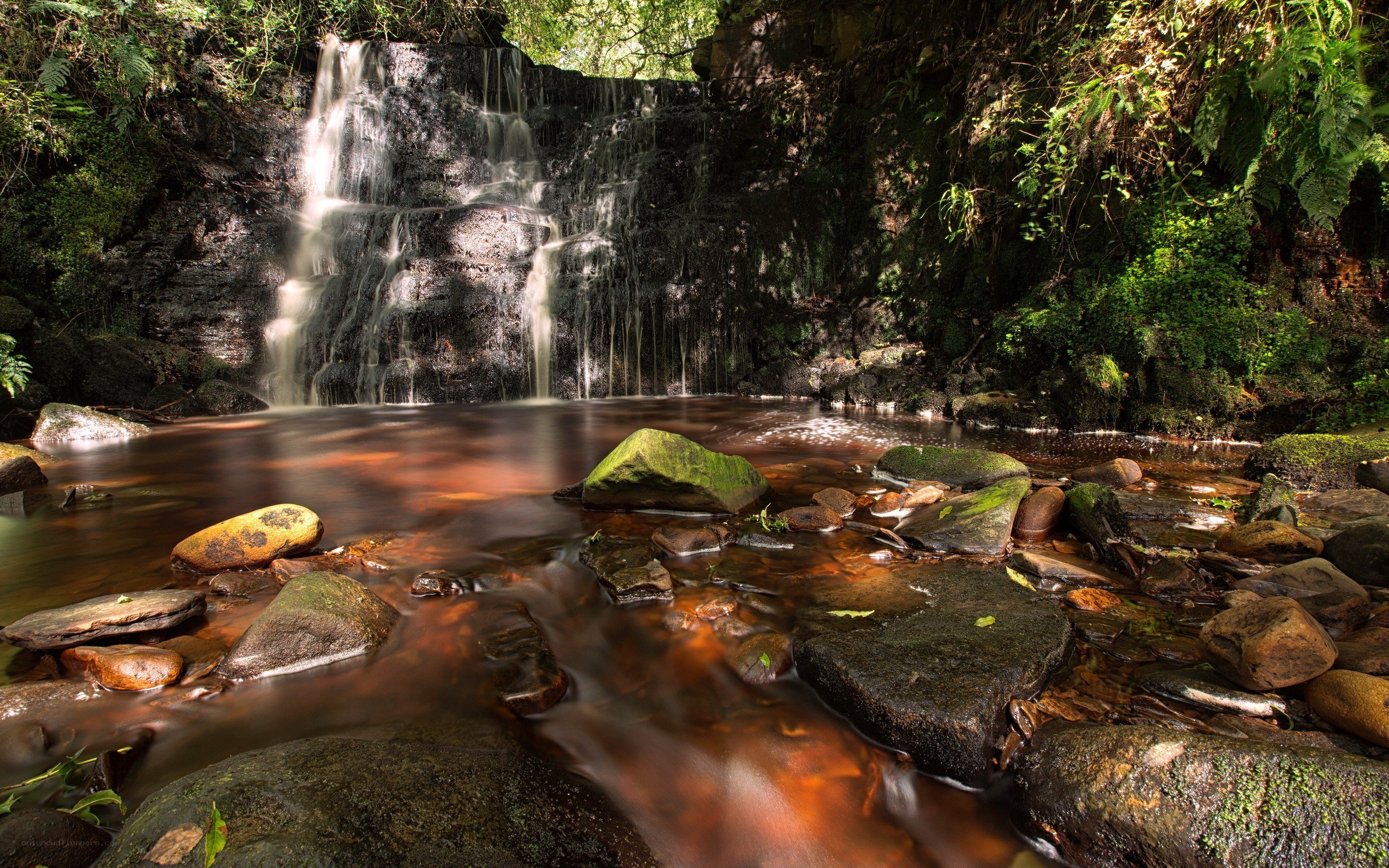 Waterfall in a lush forest