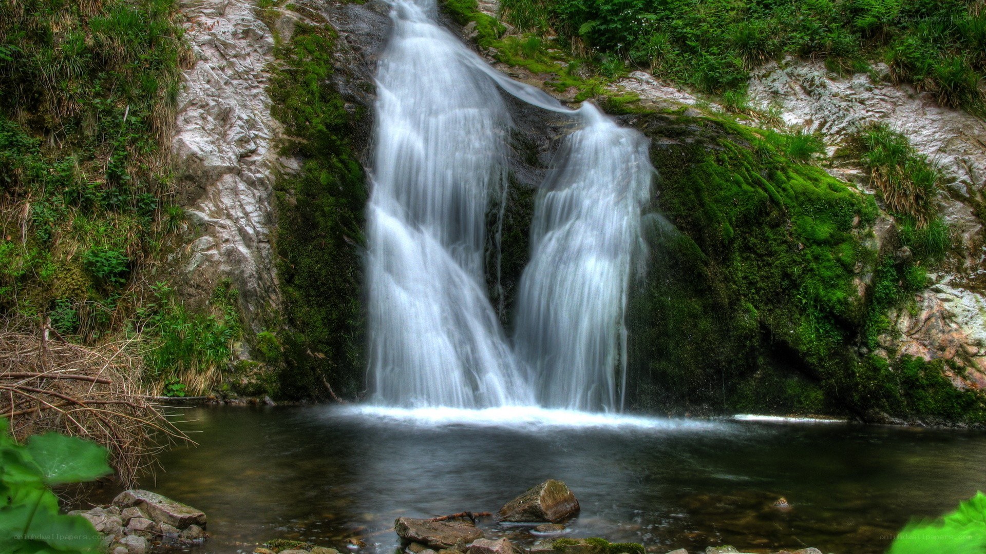 Waterfall in a lush forest