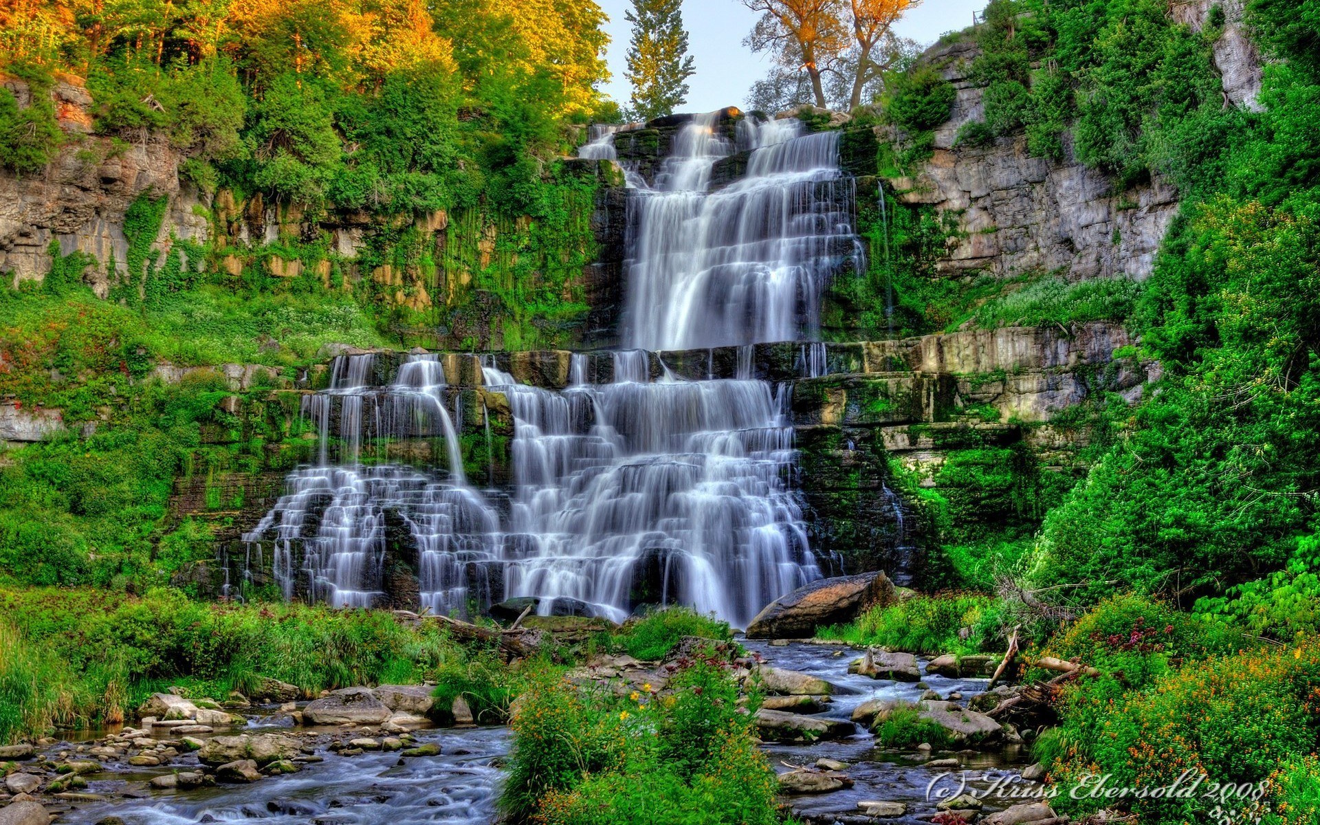 Waterfall in a lush forest