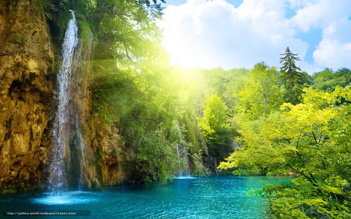 Waterfall in a lush forest