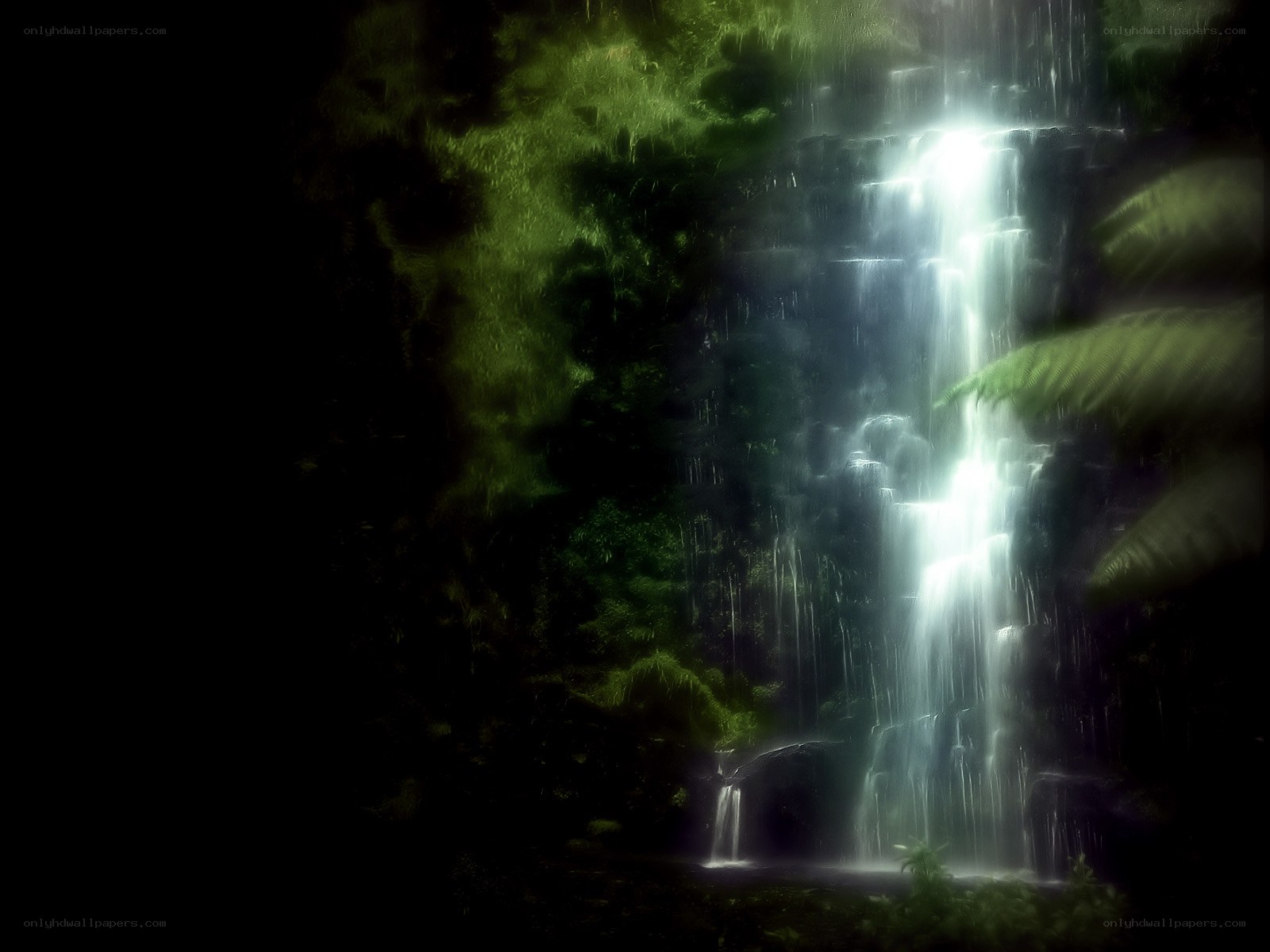 Waterfall in a lush forest