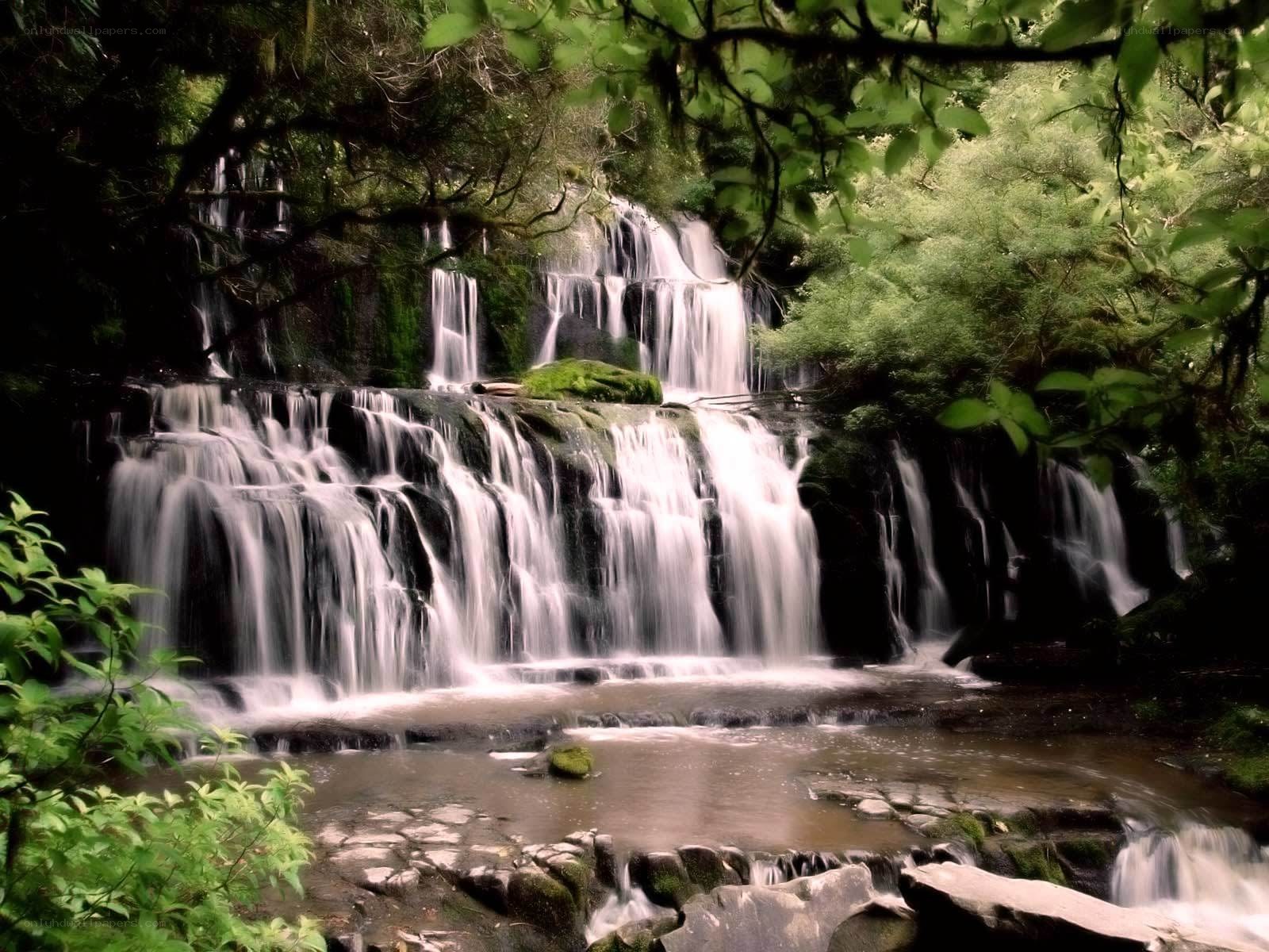 Waterfall in a lush forest