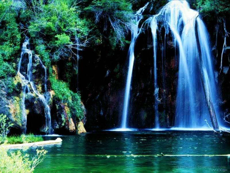 Waterfall in a lush forest