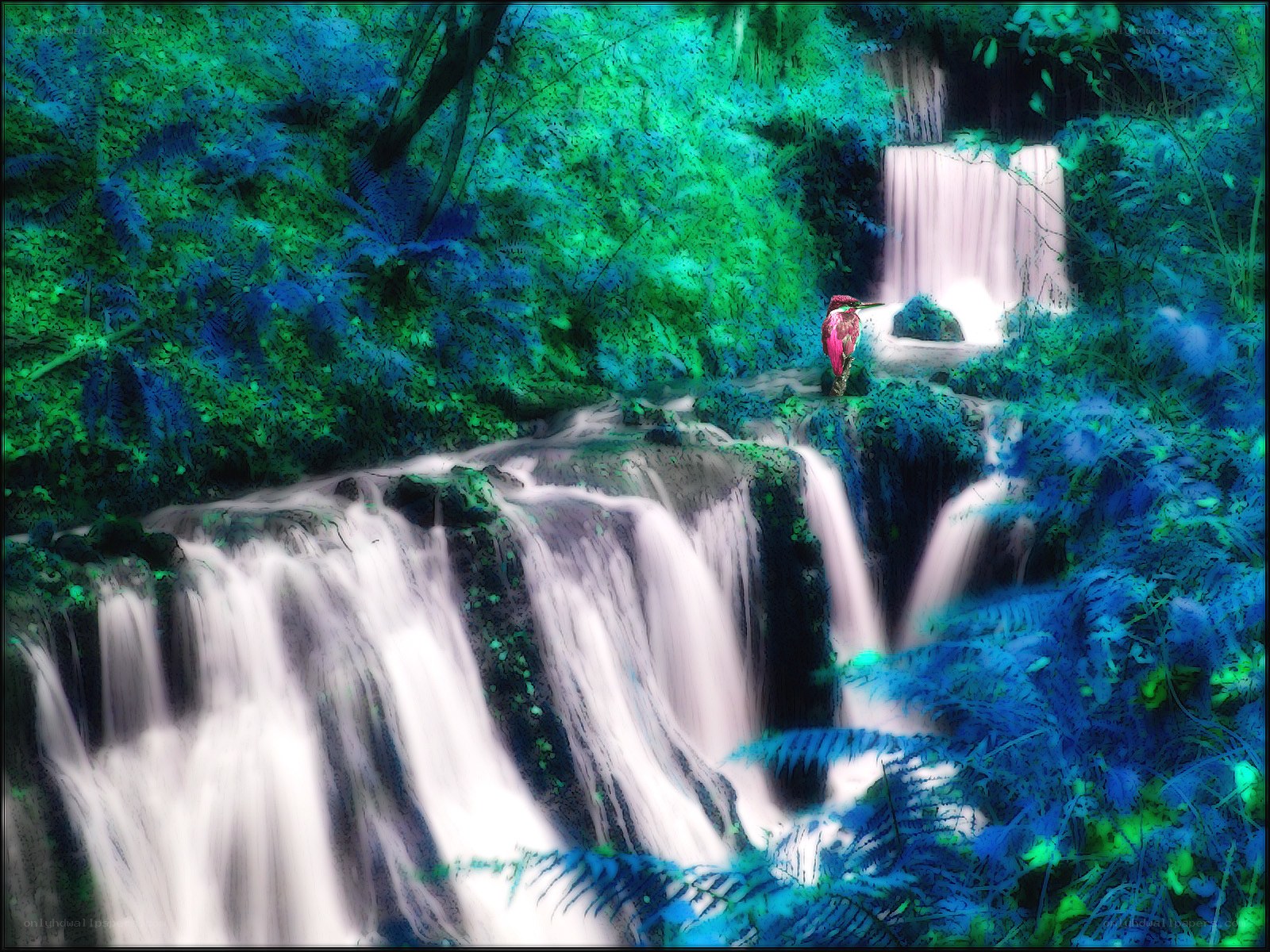 Waterfall in a lush forest